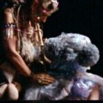 whatsapp image 2026 03 31 at 19.11.22